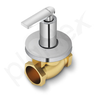 Plantex Pure Brass 25 mm Flush Valve with Teflon Tape & Wall Flange - 7 Year Warranty (Commercial & Residential Use)