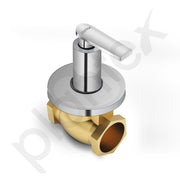 Plantex Pure Brass 25 mm Flush Valve with Teflon Tape & Wall Flange - 7 Year Warranty (Commercial & Residential Use)