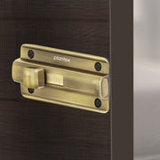 Plantex Premium Heavy Duty Door Stopper/Door Lock Latch for Home and Office Doors - Pack of 10 (Brass Antique)