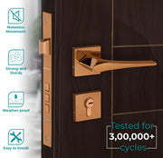 Plantex Premium Door Lock with 3 Years of Warranty/Main Door Locks for Home/Mortise Lock Set for Home (7101 - PVD Choco)