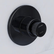 Plantex Pure Brass 40mm Thread Diameter Metropole Flush Valve for Toilet/Toilet Flush/Flush Valve for Urinal Commercial and Residential Use -(ALD-1302-Black)