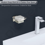 Plantex Stainless Steel Glass Soap Dish for Bathroom/Soap Holder/Soap Case/Soap Stand for Kitchen/Bathroom Accessories - Aqua (Satin)