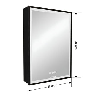 Plantex LED Mirror Cabinet for Bathroom with Defogger and Bluetooth/Bathroom Storage Organizer/Shelf/Bathroom Accessories - 20x28 Inch, Black