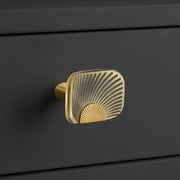 Plantex Knobs for Drawers/Drawer Knobs/Rectangle Knob for Cabinets/Pull-Push Knob for Kitchen/Bedroom/Drawer - Pack of 1 (Brass Antique & Gold)
