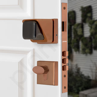 Plantex Heavy Duty Door Lock/Stainless Steel Main Door Mortise Lock Handle/Handle Set for Home/Office/Door Accessories (Rose Gold and Grey)
