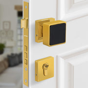 Plantex Heavy Duty Door Lock/Main Door Mortise Lock Handle/Handle Set for Home/Office/Door Accessories - (PT-011, Gold & Black)