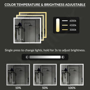 Plantex 304 Stainless Steel Bathroom Cabinet with Mirror/Bathroom Cabinet Storage/LED Mirror Cabinet for Wall/Bathroom Organiser Cabinet (19x19 Inch- Defogger/Chrome)