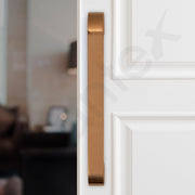 Plantex Door Handle/Main Door Handle/13 inch Pull-Push Handle for Home/Office/Hotel - Pack of 1 (SH-289, Choco) - 3 Years Warranty