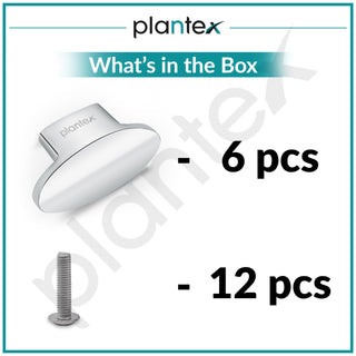 Plantex Knobs for Drawer/Small Drawer Knobs/Knobs for Cabinets/Pull-Push Knobs for Kitchen/Bedroom Drawer - Pack of 6 (Oval, Chrome)