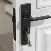 Plantex Heavy-Duty Door Lock Set - Main Door Lock Handle Set/ 6-Lever Lock Mechanism with 3 Years of Warranty/Mortise Lock with 3 Keys, Brass Lockbody (Z-Black)