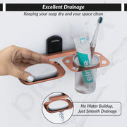 Plantex 304 Grade Stainless Steel 2in1 Soap Dish with Tumbler Holder/Soap Stand/Tooth Brush Holder/Bathroom Accessories - (Parv-Rose Gold & Black)