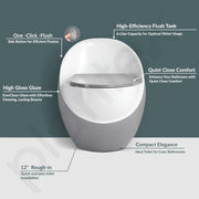 Plantex Imported Commode/Ceramic Rimless 2D Siphonic Flush Western Commode/Bathroom Commode with Soft Closing Toilet Seat Cover - S Trap (White & Grey)