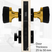Plantex Heavy Duty Door Lock/Main Door Mortise Lock Handle/Handle Set for Home/Office/Door Accessories (Black, Gold)