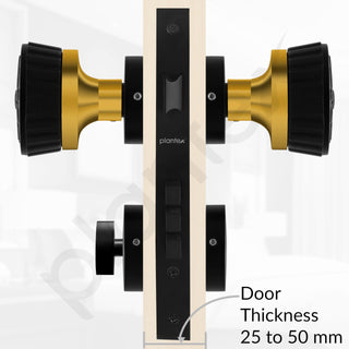 Plantex Heavy Duty Door Lock/Main Door Mortise Lock Handle/Handle Set for Home/Office/Door Accessories (Black, Gold)