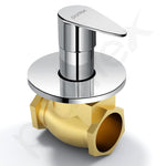 Plantex 25 mm Pure Brass Flush Valve for Toilet/Urinal (Commercial & Residential Use) - 7 Year Warranty (PAC-1820)