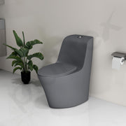 Plantex Imported Ceramic Commode/Rim Siphonic Vacuum Jet Flush Western Commode/One Piece Western Toilet with Soft Closing Toilet Seat - S Trap (Matt Grey)