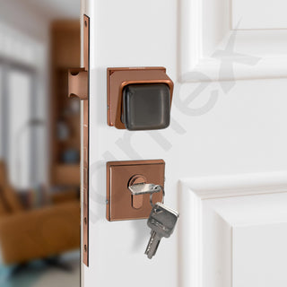 Plantex Heavy Duty Door Lock/Stainless Steel Main Door Mortise Lock Handle/Handle Set for Home/Office/Door Accessories (Rose Gold and Grey)