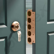 Plantex Stainless Steel Deadbolt Lock/Pentabolt Main Door Lock/5-Point Security Door Lock Set with Anti theft Mechanism -  5 Years of Warranty (PVD Rose Gold)