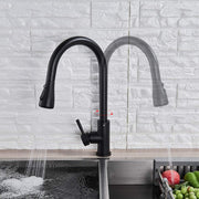 Plantex Stainless Steel 304 Single Lever Kitchen Tap/Hot & Cold-Water Mixer Tap with Flexible 360Ãƒâ€šÃ‚Â° Swivel Spout/Deck Mounted (8424-Black)