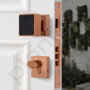 Plantex Door Lock/Main Door Mortise Lock Handle/Handle Set with Key for Home/Office/Door Accessories - (PT-011, Rose Gold & Black)