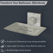 Plantex Soap Holder for Bathroom/Stainless Steel Soap Stand/Soap Case/Soap Dish/Bathroom Accessories Ã¢â‚¬â€œ Aqua (Satin)