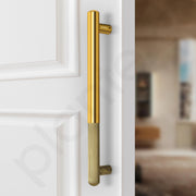 Plantex Door Handle/14 Inch Main Door Handle/Stainless Steel and Aluminium Door Handle/Pull-Push Door Handle/Door Accessories (Pack of 1, Brass Antique, Gold)
