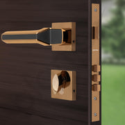 Plantex Brass, Zinc Mortise Door Lock For Main Door/Premium Handle Lock Set For Home With 3 Years Warranty (Rose Gold & Black)