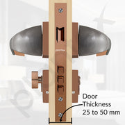 Plantex Heavy Duty Door Lock/Main Door Mortise Lock Handle/Handle Set for Home/Office - Door Accessories- (APS-PT-009- Rose Gold - Satin)