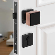 Plantex Heavy Duty Door Lock/Main Door Mortise Knob Lock/Handle Set for Home/Office/Door Accessories - (PT-011 Copper Antique & Black)