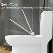 Plantex Polypropylene Toilet Seat/Western Toilet Seats For Bathroom/Soft Closing Toilet Seat/Seat For Commode - Round (Glossy White)