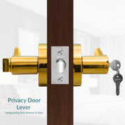 Plantex Premium Mortise Lock for Door/Door Lock for Home/Heavy Duty Main Door Lock with 3 Key - (Gold)