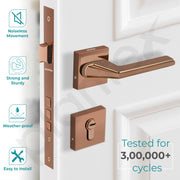 Plantex Premium Door Lock with 3 Years of Warranty/Main Door Lock Set for Home/Mortise Locks for Door (7122 - PVD Choco)