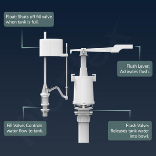 Plantex Flush Tank for Toilet/Single Flushing Cistern for Bathroom with 10 Ltr Water Capacity/Polypropylene Toilet Flush Tank - Pack of 1 (Classic, White)