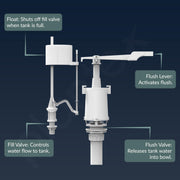 Plantex Flush Tank for Toilet/Single Flushing Cistern for Bathroom with 10 Ltr Water Capacity/Polypropylene Toilet Flush Tank - Pack of 1 (Classic, White)