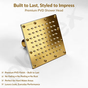 Plantex Stainless Steel Overhead Shower 6 x 6 inch with Water-Saving Technology/High pressure Rain Shower Head without Arm/Bathroom Shower -(Sandwich-PVD Gold)