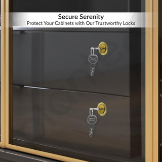 Plantex Drawer Lock/20mm Brass Lock for Cupboard/Multipurpose Cupboard Lock with Key for Home/Office - Pack of 3 (Gold)