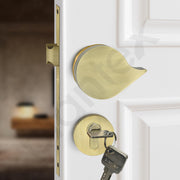 Plantex Heavy Duty Door Lock/Main Door Mortise Lock Handle/Handle Set for Home/Office/Door Accessories (Brass Antique, Gold)
