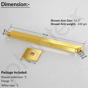 Plantex 14-Inch Shower Arm for Overhead Shower/Stainless Steel Shower Pipe/Wall Mount Bathroom Fitting with Ã‚Â½-Inch Thread - Pack of 1 (PVD Gold)