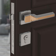 Plantex Premium Door Lock with 3 Years of Warranty/Main Door Lock for Home/Mortise Locks for Doors (PT-008- Rose Gold and Satin Black)