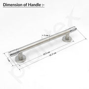 Plantex Main Door Handle/Pull & Push Handles for All Doors of House, Office, Hotels/300mm Wooden & Glass Door Handle - Pack of 1 (Satin Steel & Chrome)