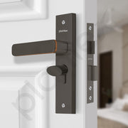 Plantex Heavy-Duty Main Door Mortise Lock Handle Set with 3 Keys, Brass Lock Body & Cylinder (8125 - Grey & PVD Choco)
