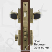 Plantex Main Door Lock for Home with 3 Years of Warranty/Mortise Locks for Door - Main Door Lock Set (PT-007- Brass Antique - Black)