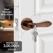 Plantex Premium Door Lock for Home/Mortise Lock for Door/Main Door Lock with 3 Key - (Rose Gold)
