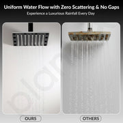 Plantex Stainless Steel Overhead Shower 6 x 6 inch with Water-Saving Technology/High pressure Rain Shower Head without Arm/Bathroom Shower -(Sandwich-PVD Black)