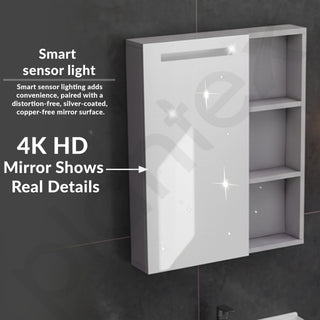 Plantex Vanity for Bathroom/Rectangle Cabinet with Wash Basin and Mirror/Bathroom Organizer for Home - (NZBC-24)