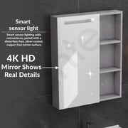 Plantex Vanity for Bathroom/Rectangle Cabinet with Wash Basin and Mirror/Bathroom Organizer for Home - (NZBC-24)