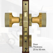 Plantex Heavy Duty Door Lock/Main Door Mortise Lock Handle/Handle Set for Home/Office/Door Accessories (Brass Antique, Gold)