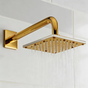 Plantex Stainless Steel Overhead Shower 6 x 6 inch with Water-Saving Technology/High pressure Rain Shower Head without Arm/Bathroom Shower -(Sandwich-PVD Gold)
