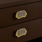 Plantex Drawer Kadi/3 Inch Chest Handle for Drawer/Rectangular Cabinet Kadi/Pull-Push Kadi for Home/Office Drawer - Pack of 2 (DTK-296, Brass Antique & Gold)