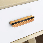 Plantex Cabinet Handle/96mm Handle for Cabinet/Wardrobe/Kitchen Handle/Door Pull-Push Handle for Home/Office - Pack of 1 (Gold)